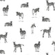 Preorder - Delivery 40 to 45 days Wallpaper Zebra