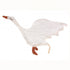 Doudou Goose White