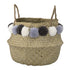 Black Poms Basket Nature