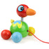 Island Bird Pull Toy