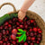 Mery The Cherry Oli and Carol Lebanon Dubai UAE - Saudi Arabia Middle East 