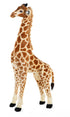 Standing Giraffe